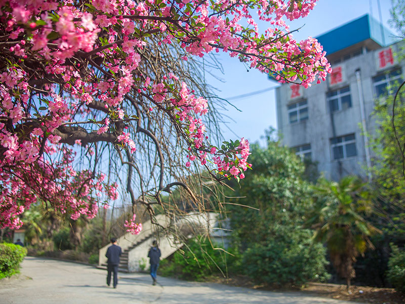 河鋼舞鋼的發展歷程